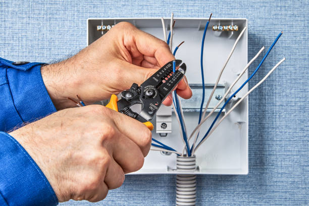 Best Electrical Safety Inspections  in Pana, IL